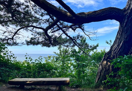 24-07-01 11-36-09 0059